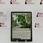 Turntimber Symbiosis/Turntimber, Serpentine Wood - Zendikar Rising - Magic The Gathering Card